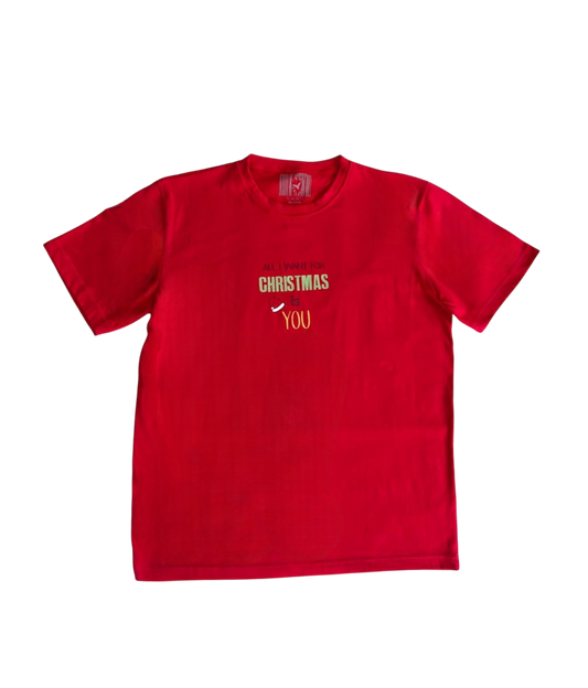 All I Want Men T-shirt