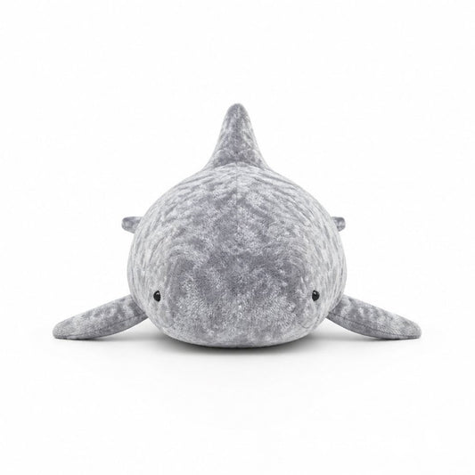 Irrawaddy Dolphin